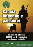 Manifesto intero CCT card